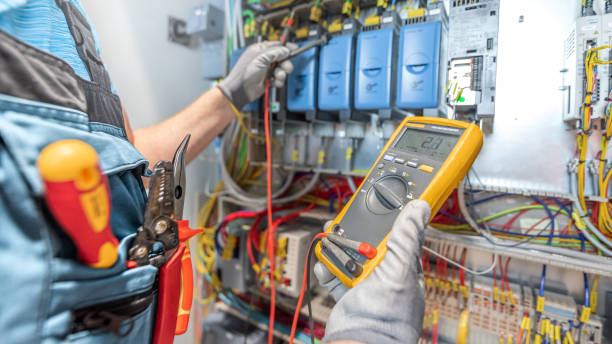 Best Electrical System Inspection  in Andusia, AL