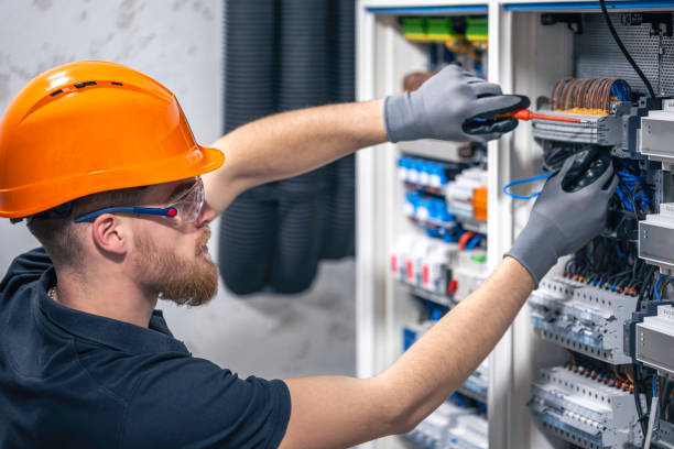 Best Electrician for Home Renovation  in Andusia, AL